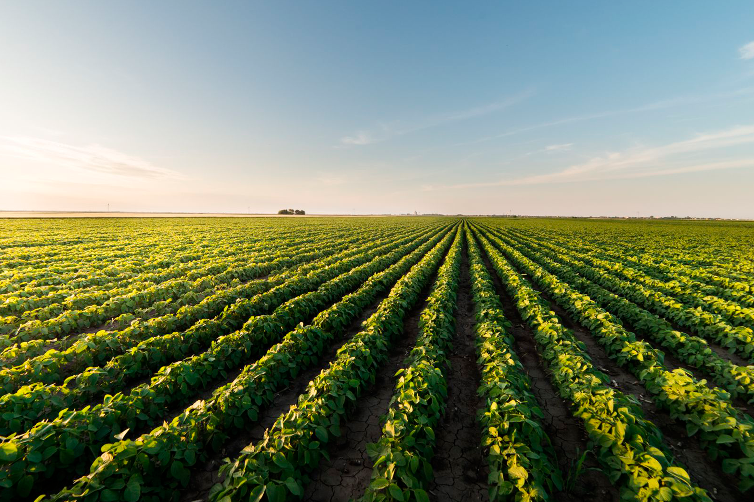 Pro Farmer Crop Tour 2024