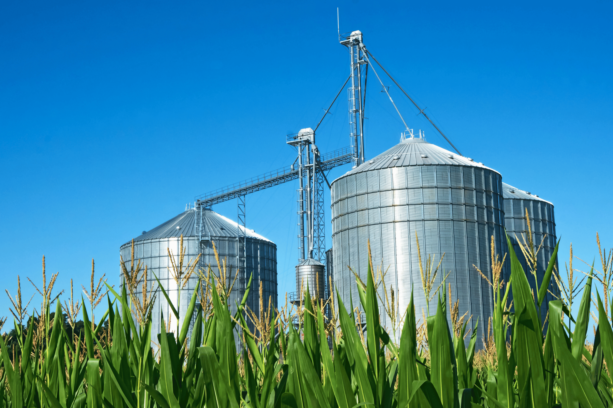 Mercado parado fecha a semana com entregas pontuais