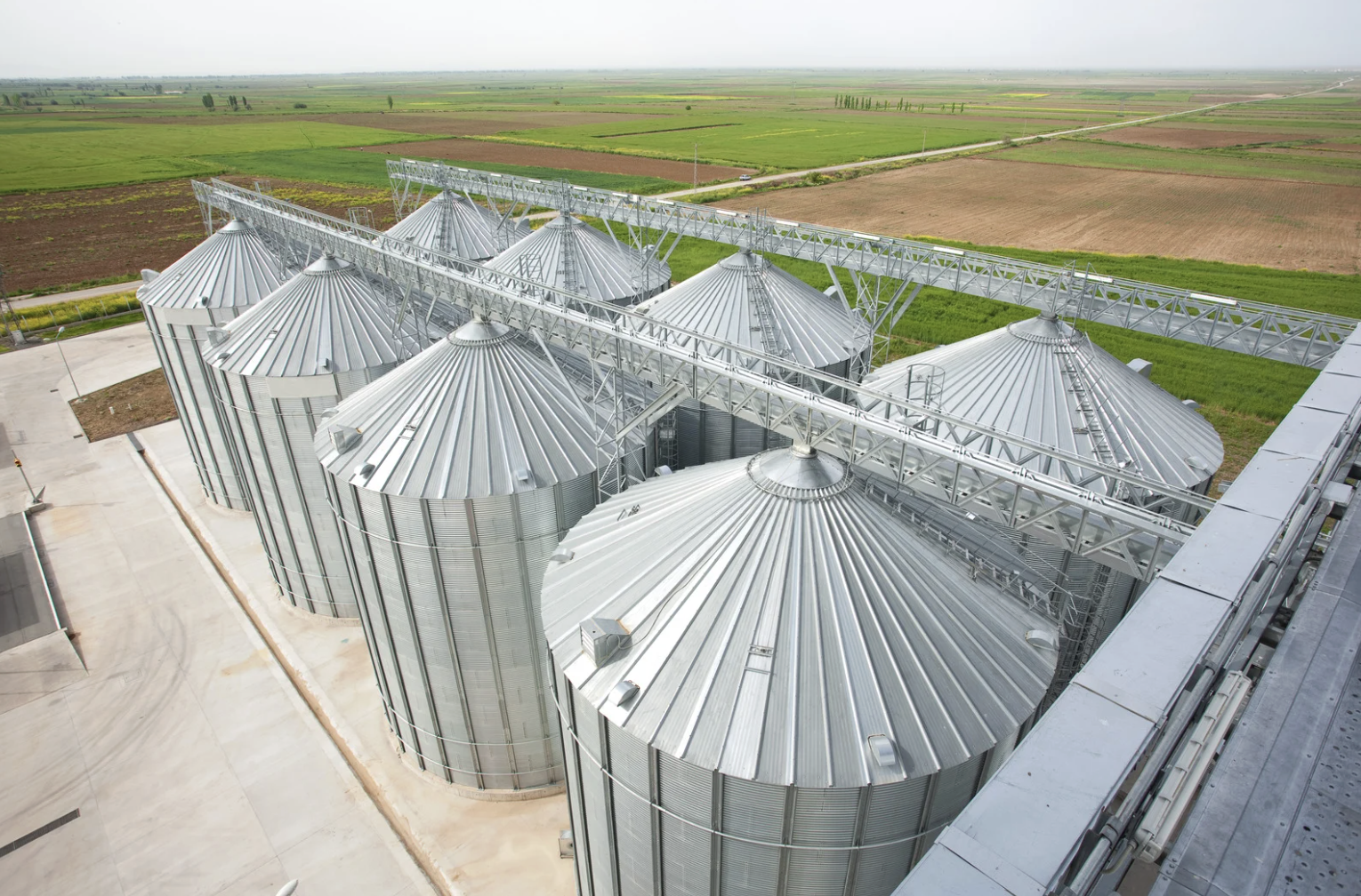 Exportação de soja em grão cresce 10% em volume e 2,3% em receita no ano