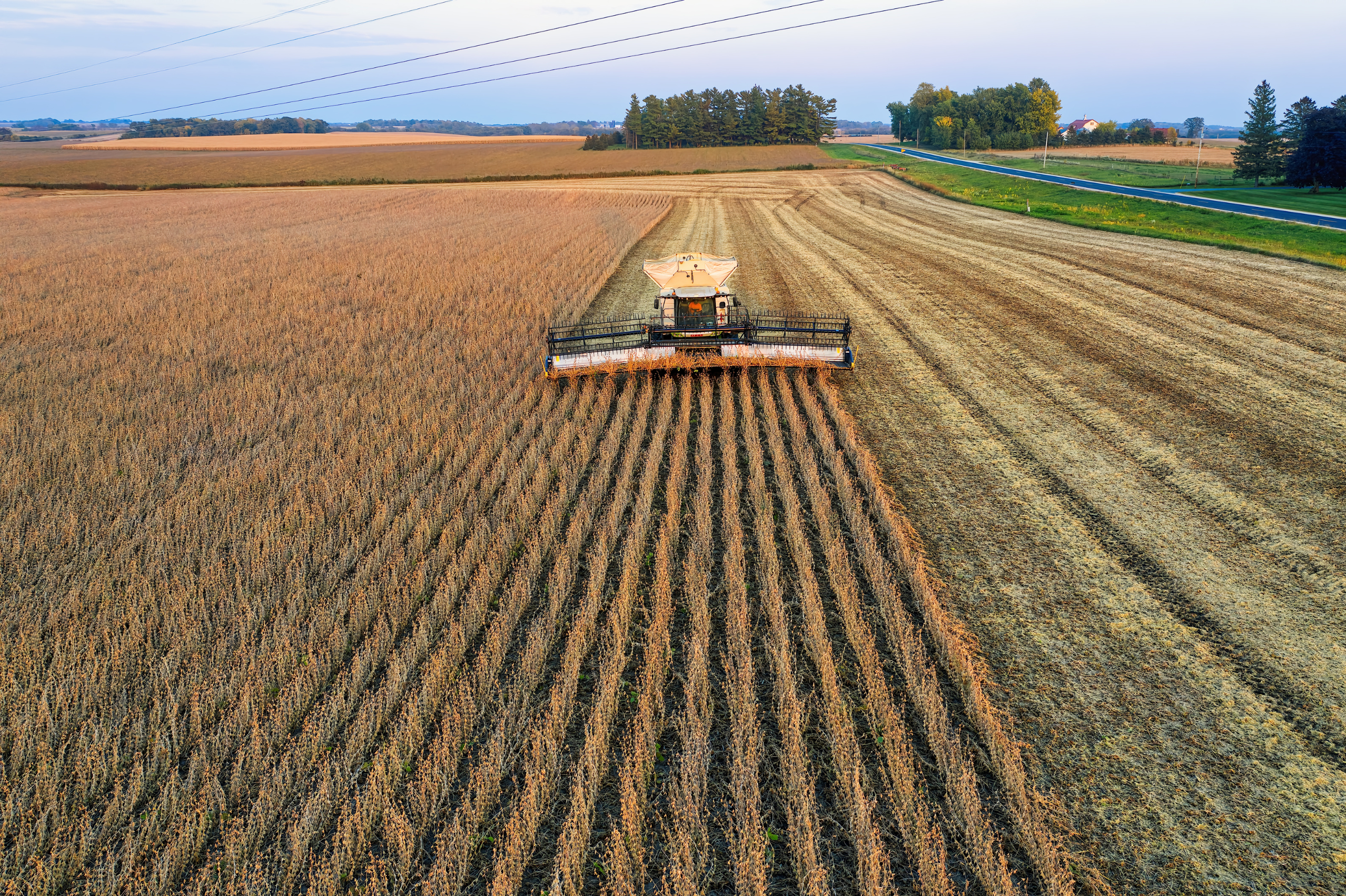 Colheita antecipada de soja no Brasil afasta China do mercado dos EUA