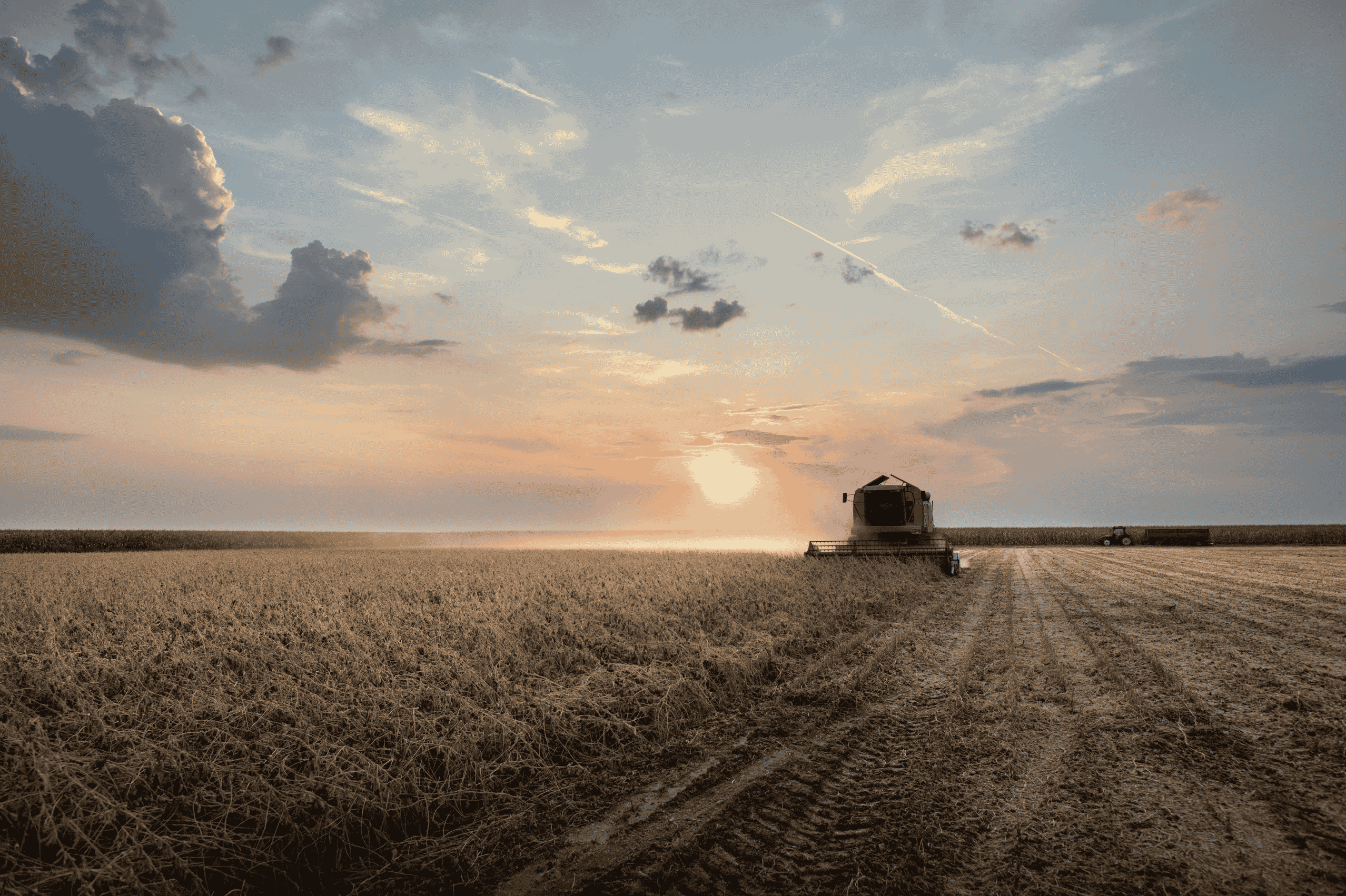 Desembolso na safra 2025/26 recua 12,5% até janeiro