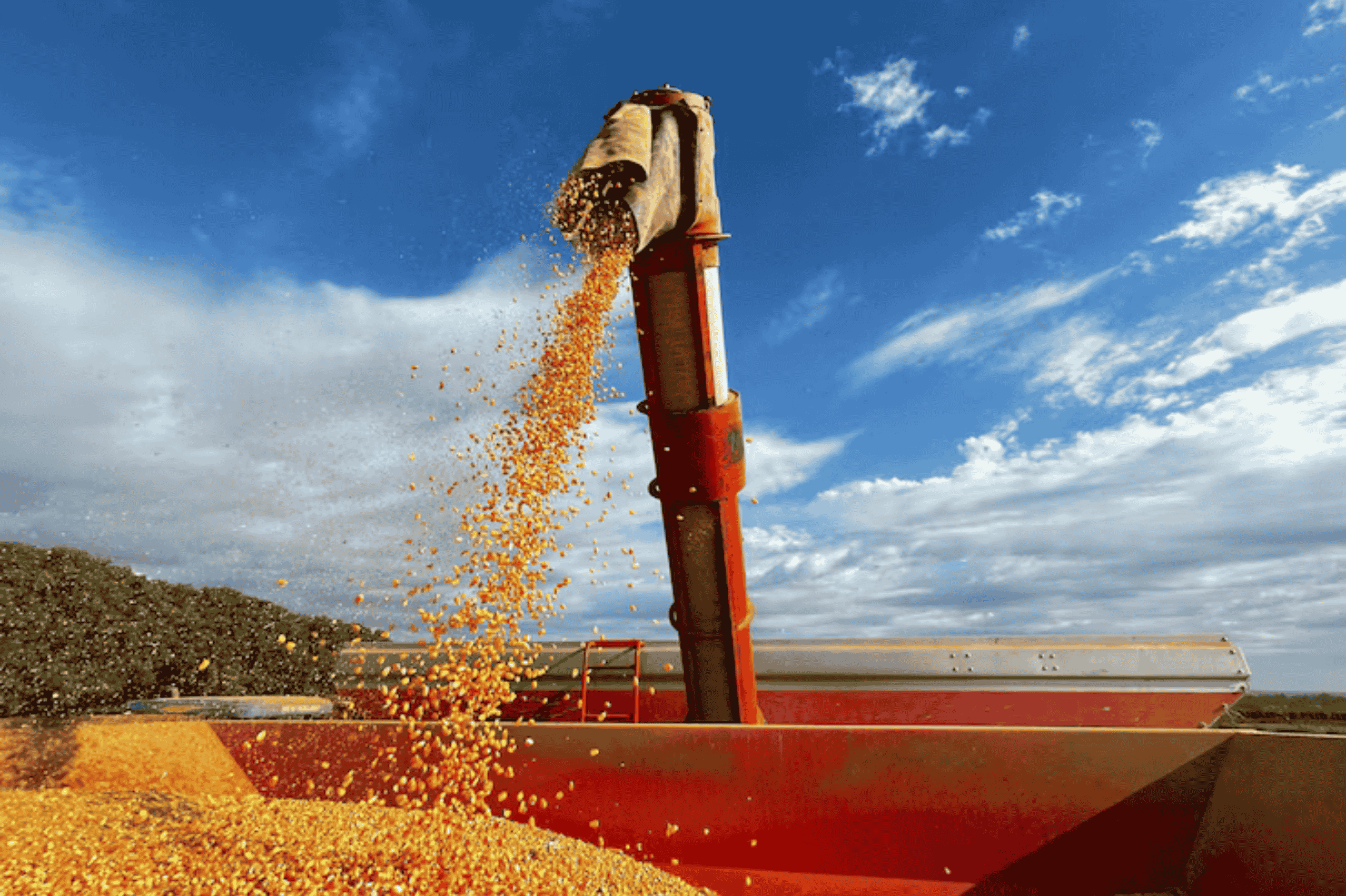 Oferta cresce, comprador recua e B3 devolve: mercado testa o “lado de baixo”