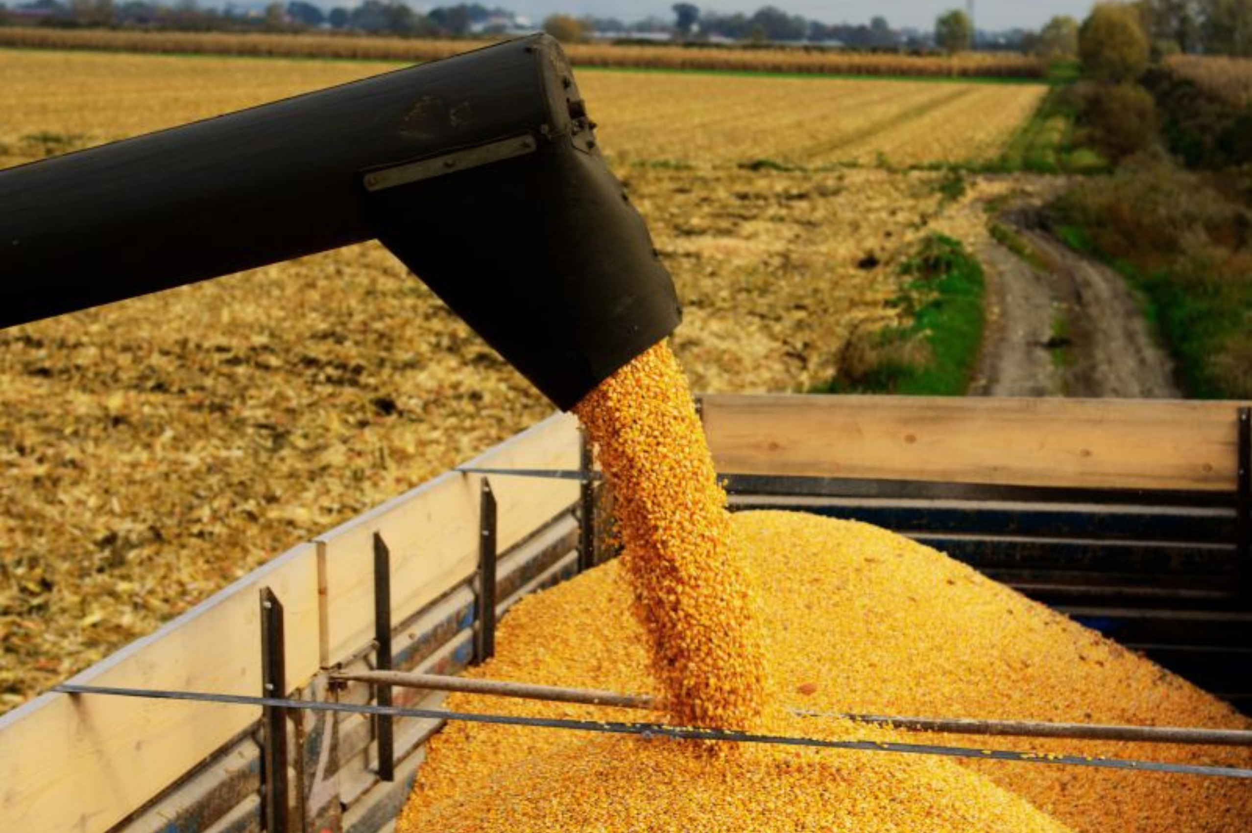 Oferta existe, mas comprador trava: preços parados em SP e B3 ainda pressionada