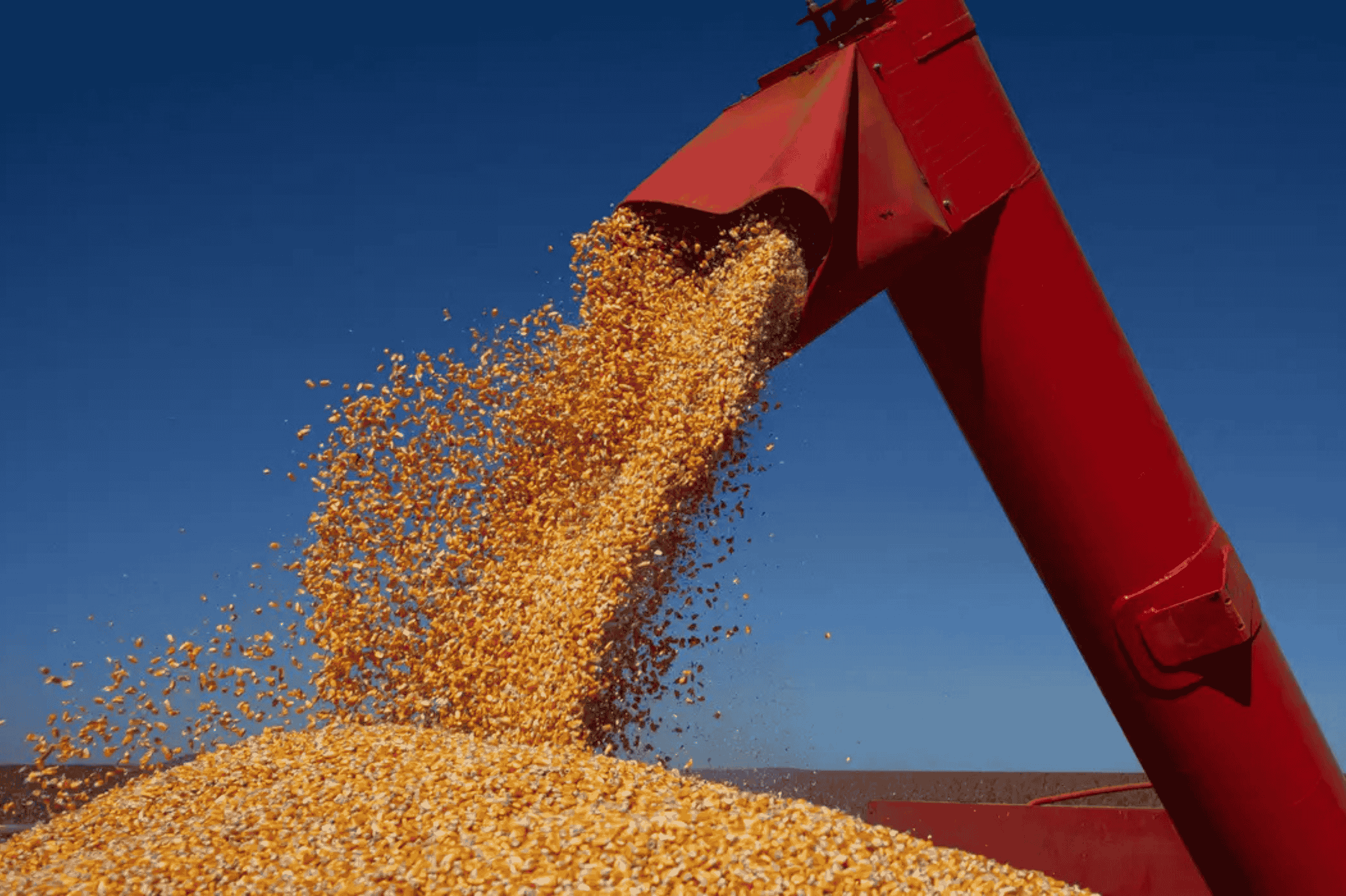 Mercado volátil: futuro corre na frente, físico continua sem prêmio